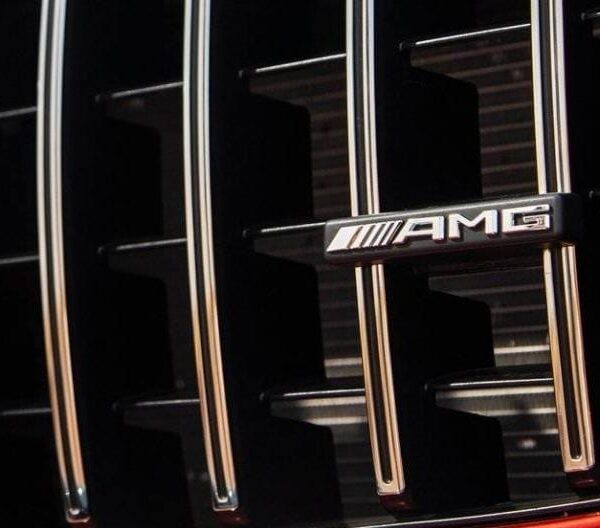 Emblème de calandre Panamericana logo AMG argent Mercedes-Benz — Mercedes-Benz